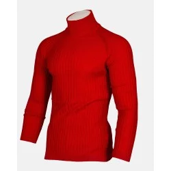 Pull à col roulé pour Homme Coupe ajustée