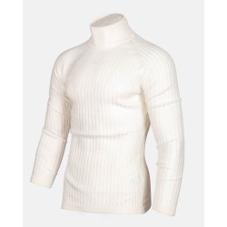 Pull à col roulé pour Homme Coupe ajustée