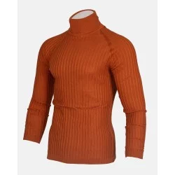 Pull à col roulé pour Homme Coupe ajustée